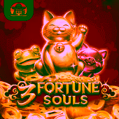 2PH 3 Fortune Souls game image