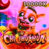 2PH Chilihuahua game image