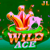2PH Wild Ace game image